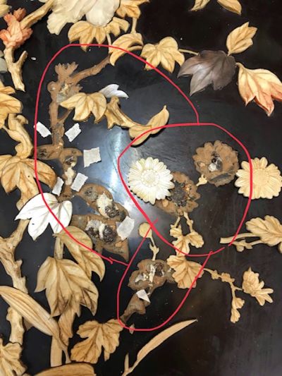 Restauración tablas Filipinas siglo XIX